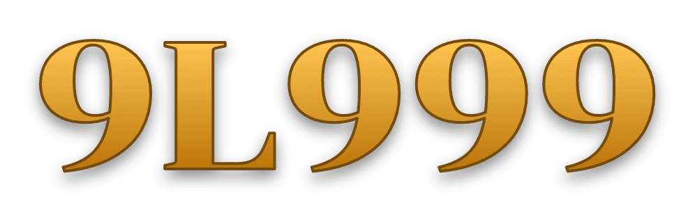 9L999 logo